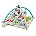 Skip Hop Alphabet Zoo Activity Gym