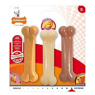 Nylabone Set de 3 Jouet à Mâcher d'Os Arômes Beurre de Cacahuète Poulet/Bacon pour Les Petits Chiens Jusqu'à 11 kg