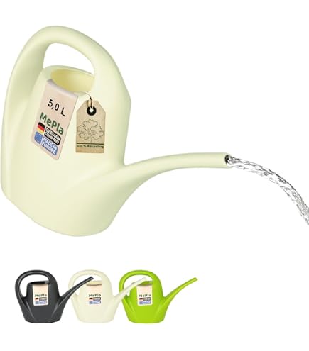 Arrosoir en plastique pour plantes d'intérieur et d'extérieur (2 l, vert