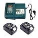 Produktbild Ersatz Ladegerät mit 2X Akku 18V 4.0Ah für Makita Akkuschrauber Schlagbohrschrauber 18 Volt DHP459RTJ DHP459RMJ DHP459Y1J DHP453 DHP453RF BHP453RHE DHP453RYLJ DHP458RMJ HP457DWE10 DHP458Z DHP481RTJ DFS452Z BHP456RFE