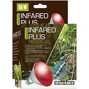 Reptiles Planet Wärmelampe für Reptilien Infrared mehr Halogen 50W