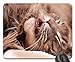 Produktbild Mouse Pads - Cat Tomcat The Head of The Domestic Cat Maine Coon