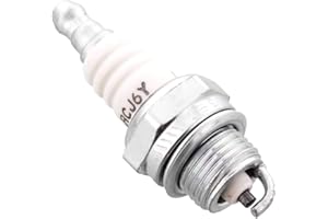 Champion. RCJ6Y Spark Plug
