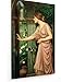 Produktbild John William Waterhouse - Psyche - Malerei - 50x80 cm - Textil-Leinwandbild auf Keilrahmen - Wand-Bild - Kunst, Gemälde, Foto, Bild auf Leinwand - Alte Meister/Museum