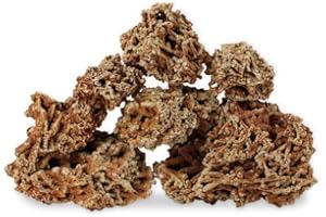 WYSKONT Pietre dolomitiche per Acquario - Decorazione Naturale per Acquario - Rocce Ornamentali Marine - Adatto per biotipi Malawi e Tanganica - Stabilizzare Il PH - 5 kg di Spaghetti Rossi