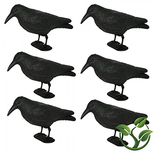 mgc24 6er-Set Taubenschreck Rabe »Lummy«