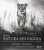 Nella natura selvaggia. Incontri ravvicinati con animali e paesaggi da salvare. Ediz. illustrata