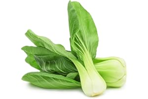 GENERISCH 1000 Semi Pak Choi Cavolo cinese di senape Brassica rapa per balcone e giardino