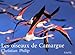 Les Oiseaux de Camargue by 