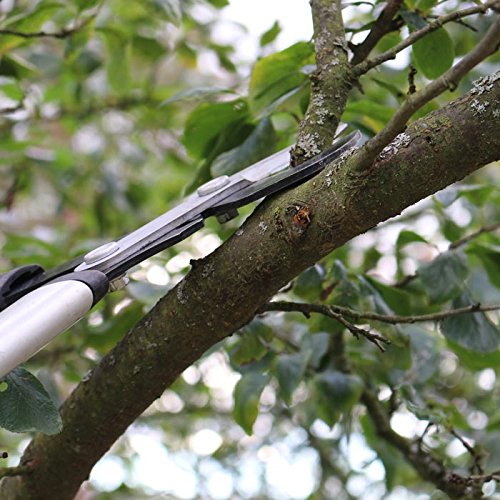 Fiskars PowerGear X Bypass-Getriebeastschere für frisches Holz, Antihaftbeschichtet, Gehärteter Präzisionsstahl, Länge 57 cm, Schwarz/Orange, LX92-S, 1020186 - 6