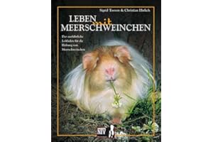 Leben mit Meerschweinchen - Cavia aparea f. porcellus: Der ausführliche Leitfaden für die Haltung von Meerschweinchen (Fachliteratur Kleinsäuger)