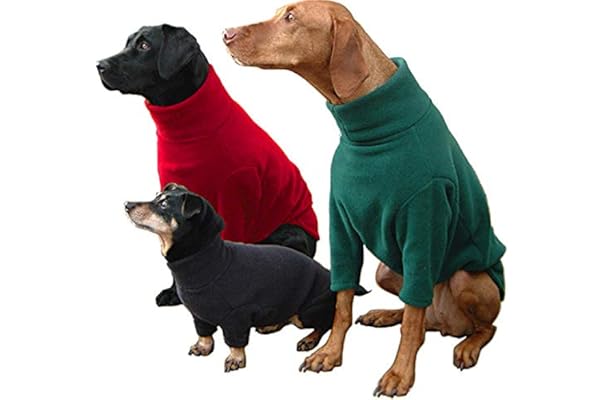 dog tracksuits uk