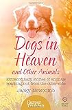 Image de Dogs in Heaven: and Other Animals: Extraordinary stories of animals reaching out from the other side (HarperTrue Fate – A Short Read)