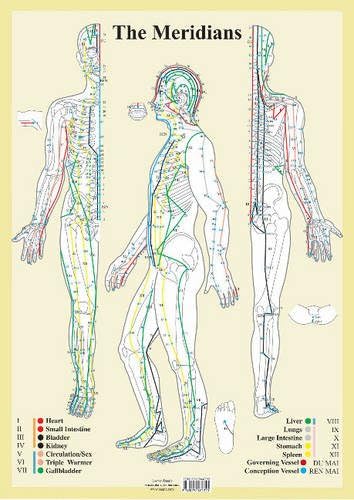 Meridians