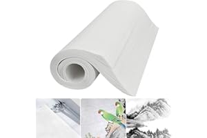 VCRANONR Xuan Paper Chinese Calligraphy Rice Paper Brush Ink Writing Sumi Papers Chinese Ink Painting Sumi Drawing Papers Chinese Painting Set for School Office Brush Writing Drawing Supplies