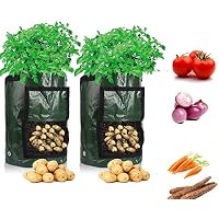 Bolsas para plantas | Amazon.es