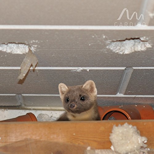 Gardigo Marder-Frei Indoor, Marderschreck, Marderschutz, Marderabwehr 230 V mit Netzstecker für Garage, Stall, Dachboden etc. - 5
