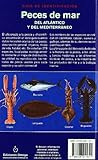 Image de PECES DE MAR. GUIA DE IDENTIFICACION