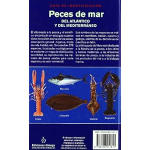 PECES DE MAR. GUIA DE IDENTIFICACION