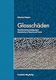 Image de Glasschäden: Oberflächenbeschädigungen, Glasbrüche in Theorie und Praxis