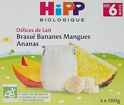 Hipp Biologique Délices de Lait Brassé Pommes Bananes Framboise/Bananes Mangues Ananas/Semoule Vanille dès 6 mois (24 X 100g)