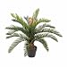 Produktbild Homescapes Kunstpflanze immergrün Palmfarne Cycadales Pflanze im Topf 75 cm hoch
