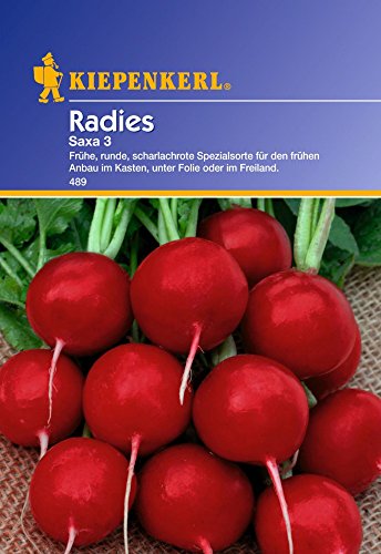Radieschensamen - Radies Saxa 3 von Kiepenkerl