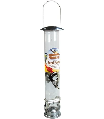 En Permanence Onduler Rue Distributeur De Graines Oiseaux Mélange Nuage Périodiq