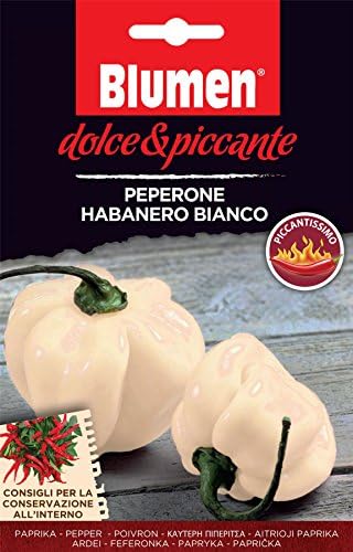 Vegetable Picture Packet - Sweet and Spicy - Chilli Pepper - White habanero