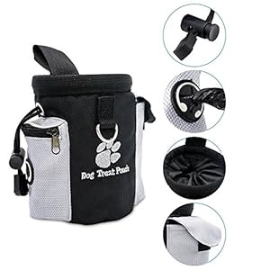 Perro bolsa para almuerzo