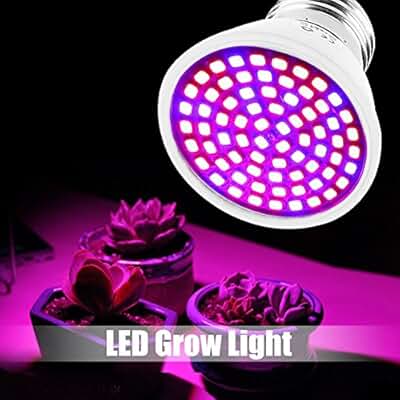 Suchergebnis auf Amazon.de für: Indoor Pflanzen: Beleuchtung