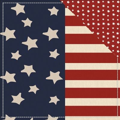 Preisvergleich Produktbild Homefront Girl Double-Sided Cardstock 12"X12"-Wave The Flag