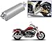 Auto Pearl Premium Quality High Performance Bike Exhaust Muffler Silencer Triangle Silver For - Hyosung GV650 Aquila Pro RS.2899.00