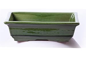 ALFAREROS DAMIAN CANOVAS Maceta para Bonsai DE Barro Y ESMALTADA EN Color Verde. Medidas 18X14X6 CM.Modelo HIROSIMA. con TU Compra TE REGALAMOS EL Plato.