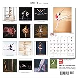 Image de Ballet 2011 Calendar