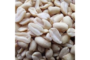 ‎FUTTERBAUER Futterbauer Erdnüsse weiß blanchiert 25 kg ohne Schale ohne Haut