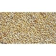Bird Store Imported Canary Seeds for Birds 1kg