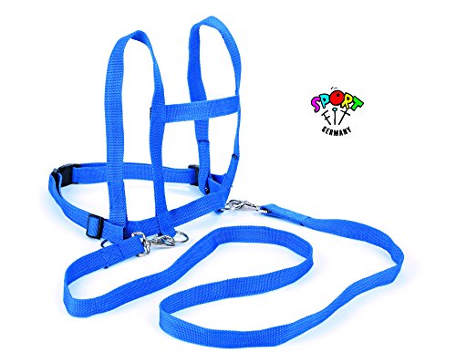 BLS 675-21 Laufleine Nylon, farbig - 3