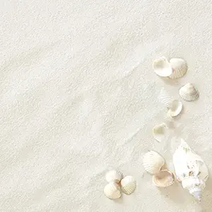 5 Kg White Sand for Garden Decor Plant Home Decor Backyard Patio Pathway Indoor and Outdoor Gravel Soil Stone Pebbles Chips Decoration Fish Tank Substrate