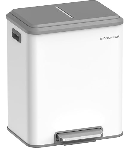casa pura Felix Vuilnisemmer met 2 vakken, 2 x 15 liter, uitneembare binnenemmer met handvat, deksel met sluitdemper, afvalscheidingssysteem, afvalemmer voor keuken en kantoor, 30 l, zwart