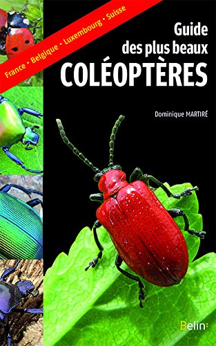 Guide des plus beaux coléoptères