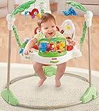 Fisher-Price Baby Gear – K7198 – Rainforest Jumperoo - 15