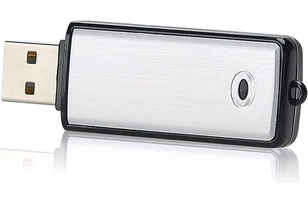 Lychee Mini Dictaphone Enregistreur Vocal Numérique 8GO/Capacité de 90 Heures/Son activé par la Voix/USB Rechargeable/Boîtier métallique/pour Conférences,Réunions et Cours (Argent)