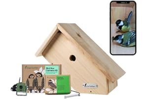 Green Feathers WiFi 1080p HD Birdbox Camera with Side View Birdbox, Recording and Night Vision, Garden Wildlife Camera for Bird Watching on Phone & Tablet (Starter Pack, UK Power Supply)