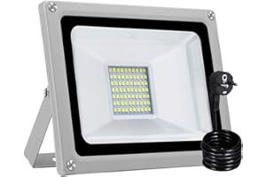 PAPASBOX 30W Foco LED Exterior, 3000LM IP65 Resistente al agua, foco exterior, foco de aluminio, foco de luz Blanco frio 6000-6500K, enchufe UE, lámpara de pared ideal para jardín, garaje