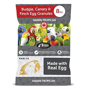 Tropican Small Birds Egg Granules, 8-Pound