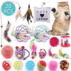ASANMU Juguetes Para Gatos 20 Piezas Juguete Interactivo para Gatos Ratón y Bolas Varias con Campanas y Plumas Cabezas de Repuesto Catnip Ball Juguetes Gatos para Kitty Mascota Gato Juguetes
