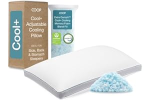 Coop Home Goods Eden Plus Pillow King
