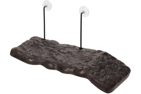 Zoo Med Dock Flottant Bois d'Ornement pour Tortue Taille M