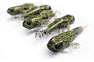 CYCEARTH 5 PCS 75 Millimetri Ghiozzo Richiamo Morbido Esche Esche da Pesca 3 Pollici 9.3g Spigola Pesce Migliore Dettagliata PVC plastica Swimbaits